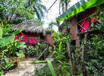 dominican-republic/samana-peninsula/landmark/samana-tropical-jungle-village-tree-house-hotel