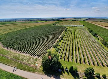 czechia/south-moravia/landmark/lookout-na-podluzi-u-noveho-poddvorova