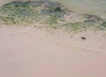 thailand/hua-hin/landmark/hua-hin-view