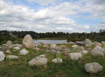 netherlands/drenthe-province/landmark/oosterbos