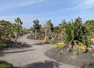 cabo-verde/espargos/landmark/pachamama-eco-park-viveiro-botanical-garden