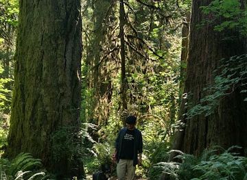 oregon/clackamas-county/landmark/eagle-fern-park