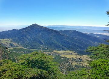 algeria/chrea-national-park/landmark/belzma-national-park