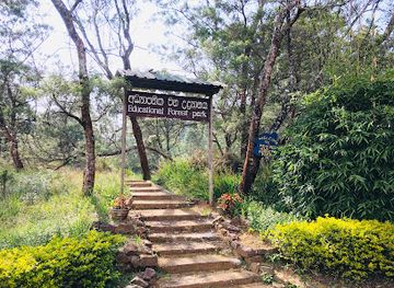 sri-lanka/horton-plains-national-park/landmark/kande-ela-educational-forest-park
