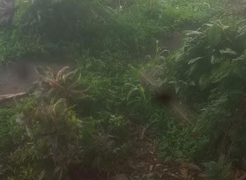 grenada/grenville/landmark/beaulieu-cemetary