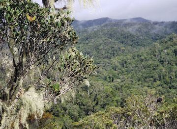 madagascar/tsingy-de-bemaraha-national-park/landmark/andasibe-mantadia-national-park