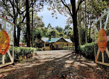 kenya/eldoret/landmark/kwa-bhupe-restaurant-and-bar-formerly-mamma-mia-s