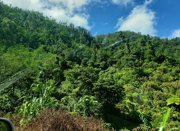 dominica/la-plaine/landmark/syndicate-nature-trail