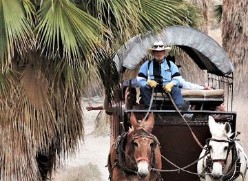california/palm-desert/landmark/covered-wagon-tours