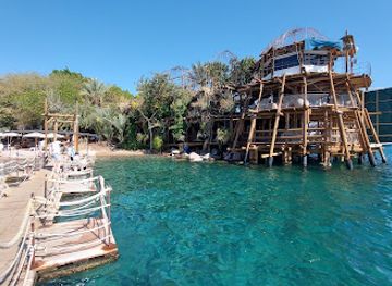 israel/eilat/dolphin-reef/landmark/dolphines-beach