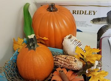 florida/jacksonville/jacksonville-beach/landmark/rhoda-l-martin-cultural-heritage