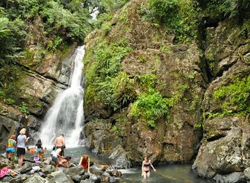 puerto-rico/big-island/landmark/el-yunque-national-forest