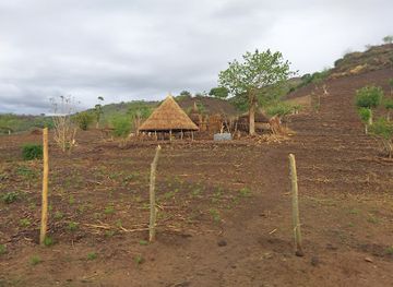 ethiopia/jinka/landmark/lalo-tours-ethiopia