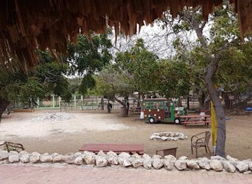 curacao/st-joris-bay/landmark/curacao-ostrich-farm