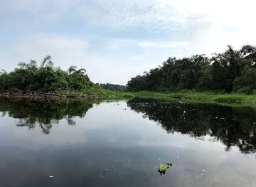 nigeria/lagos/landmark/epe-mangroves