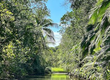 costa-rica/manuel-antonio-national-park/landmark/nacarcosta-wildlife-adventure