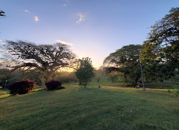 trinidad-and-tobago/penal-debe/landmark/palmiste-park