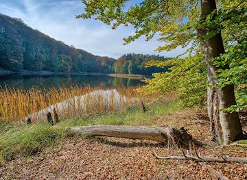 germany/uckermark/landmark/weltnaturerbe-buchenwald-grumsin