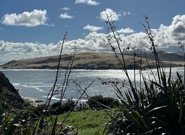 new-zealand/west-coast/landmark/tane-mahuta
