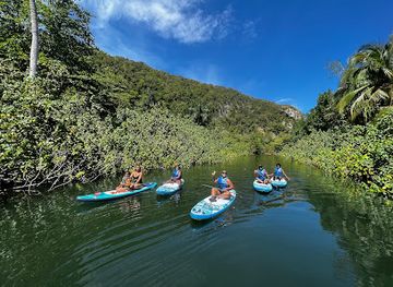 puerto-rico/isabela/landmark/pedal-n-paddle-pr
