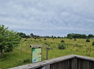 estonia/hiiumaa/landmark/orjaku-opperada