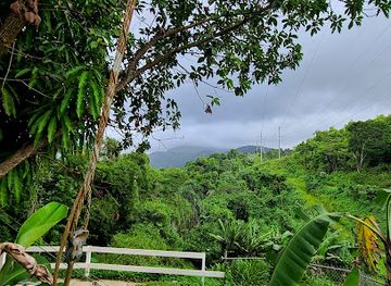puerto-rico/yunque-national-forest/landmark/rainforest-zipline-park