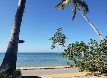 dominican-republic/samana-peninsula/landmark/el-mosquito-beach-bar