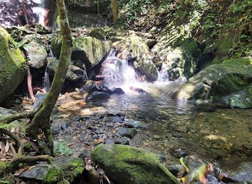 malaysia/kinabalu-national-park/landmark/poring-hot-spring