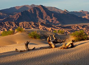 california/death-valley-national-park/landmark/devil-s-cornfield-parking