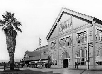 california/los-angeles-county/landmark/historic-palm-tree-of-los-angeles