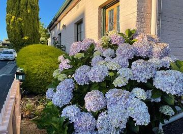 australia/hobart/landmark/battery-point