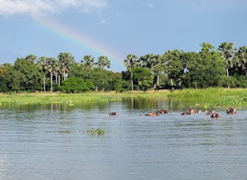 malawi/salima-lakeshore/landmark/liwonde-national-park
