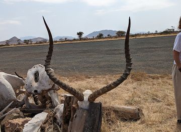kenya/samburu-national-reserve/landmark/samburu-airport