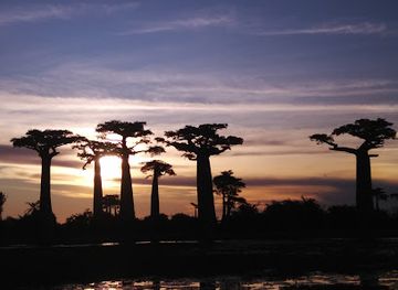 madagascar/antananarivo/landmark/madagascar-junga-tour