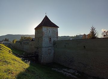romania/transylvania/landmark/lumberjack-s-tower