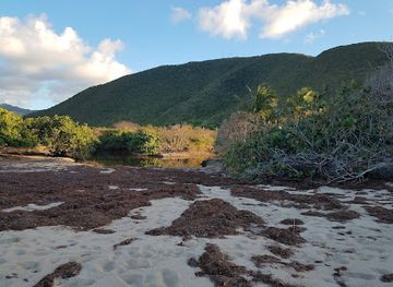 saint-kitts-and-nevis/newcastle/landmark/lovers-beach