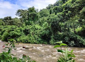 india/kaziranga-national-park/landmark/champawati-water-fall-chapanala-picnic-spot