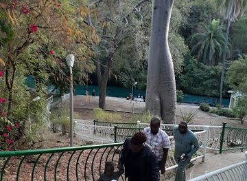 nigeria/north-west/landmark/wikki-warm-springs