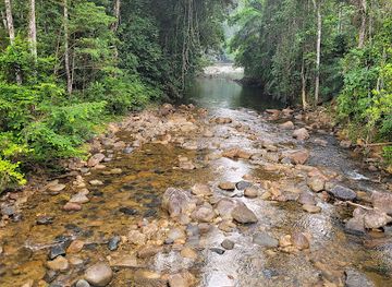 gabon/crystal-mountains-national-park/landmark/crystal-mountain-national-park