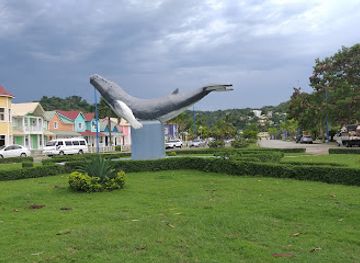 dominican-republic/samana/landmark/whale-samana-by-kim-beddall