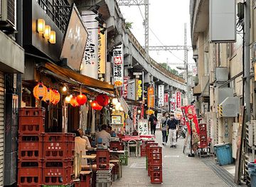 japan/tokyo/ueno/landmark/ameyoko-shopping-district