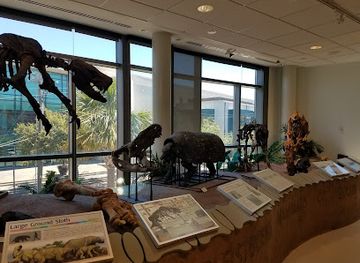 south-carolina/sea-islands/landmark/mace-brown-museum-of-natural-history-college-of-charleston