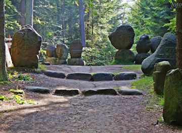 poland/roztocze-national-park/landmark/rezerwat-scisly-bukowa-gora-na-roztoczu