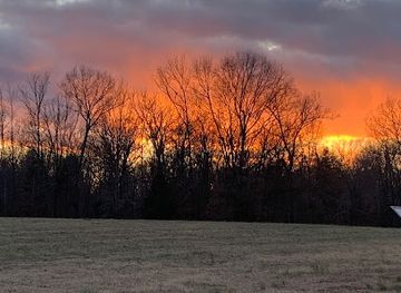 tennessee/west-tennessee/landmark/jones-field