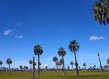 uruguay/rocha/landmark/palmares-de-rocha