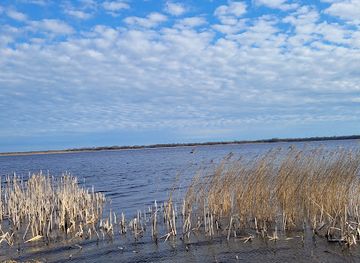 denmark/limfjord/landmark/lille-vildmosecentret