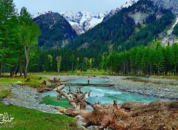 pakistan/northern-areas/landmark/kumrat-valley