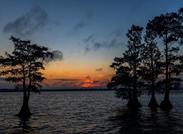tennessee/reelfoot-lake-area/landmark/reelfoot-lake-tourism-council