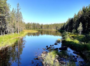 finland/hossa-national-park/landmark/varikallio-rock-paintings