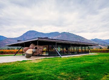 chile/colchagua-valley/landmark/vina-vik
